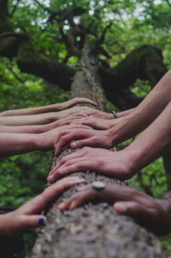 Team Building and Hypnotherapy Group Work